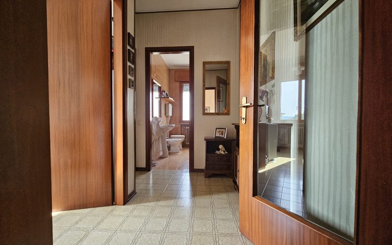 a5399a95-328b-4c0f-adc5-ad46035def13